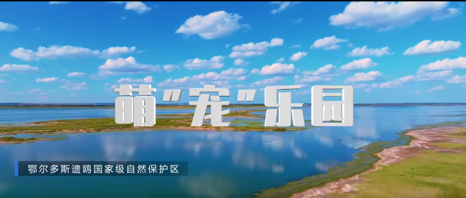 微信图片_20250625180359_17.png